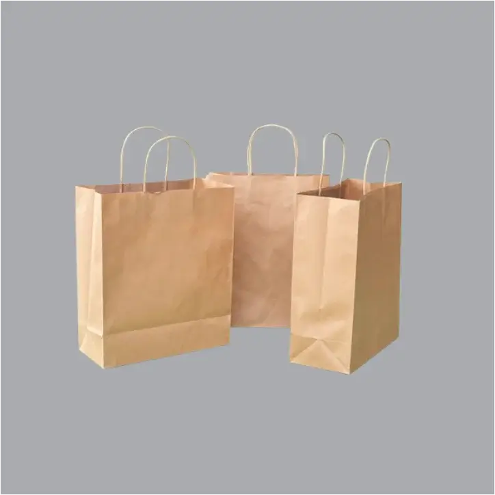 Recyclable brown kraft paper bag with twisted handles